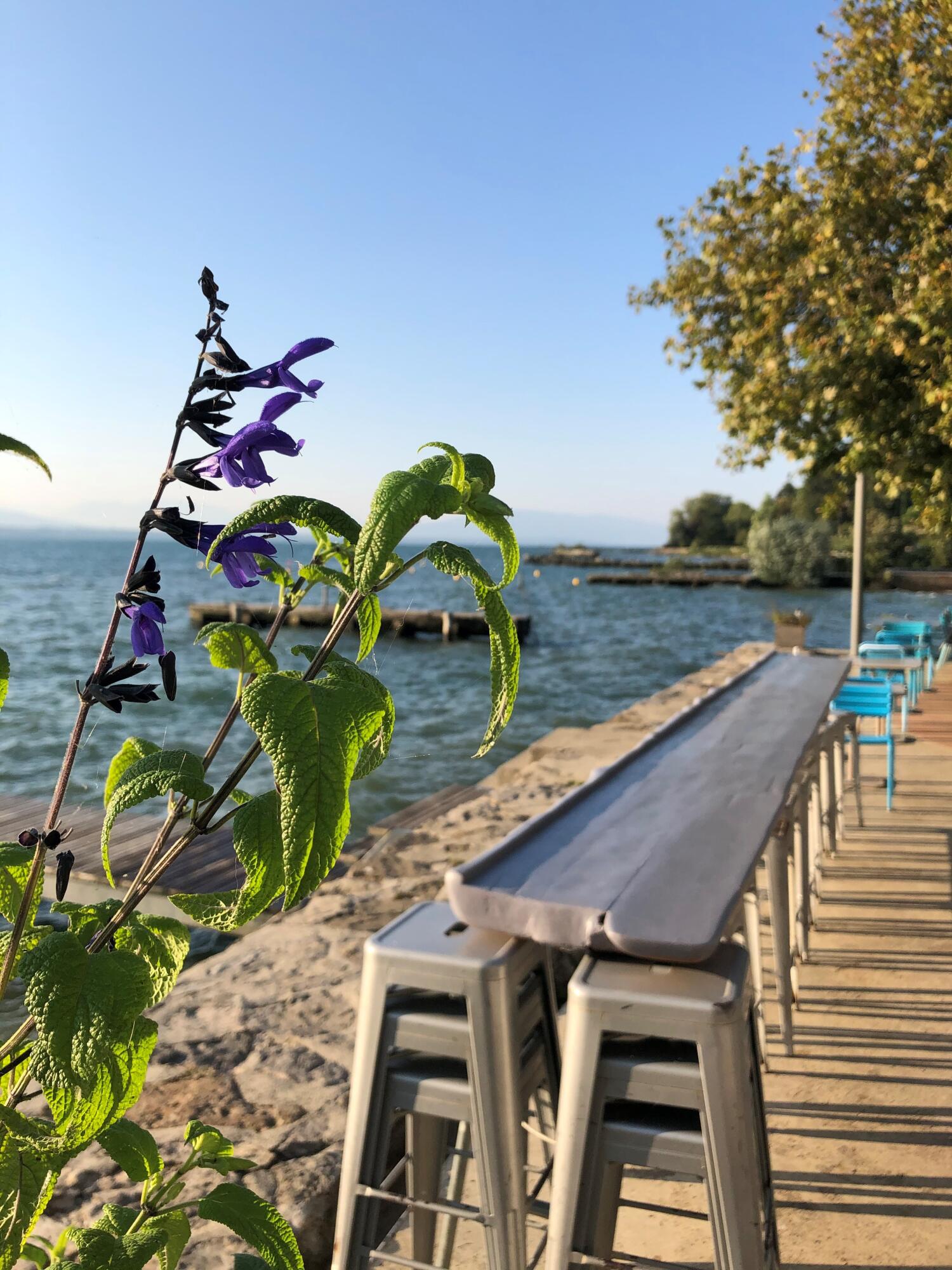 Restaurant de la Plage – Nyon