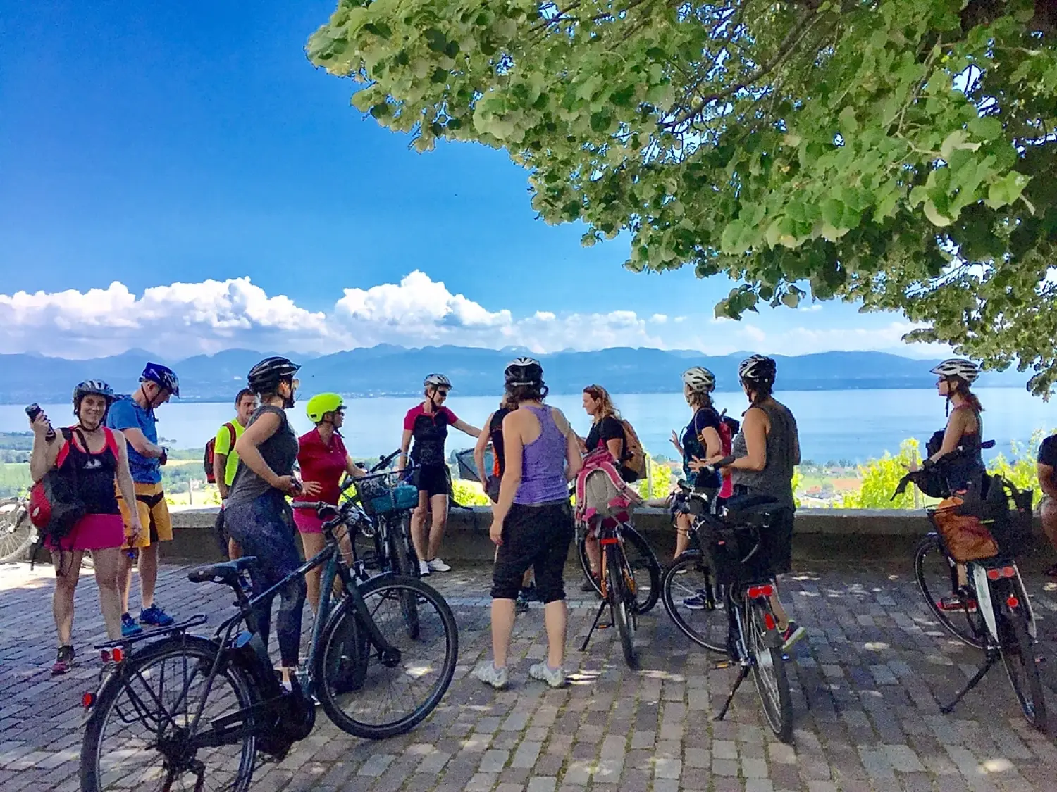 Location &amp; sorties à vélos électriques à thème – Why not e-bike