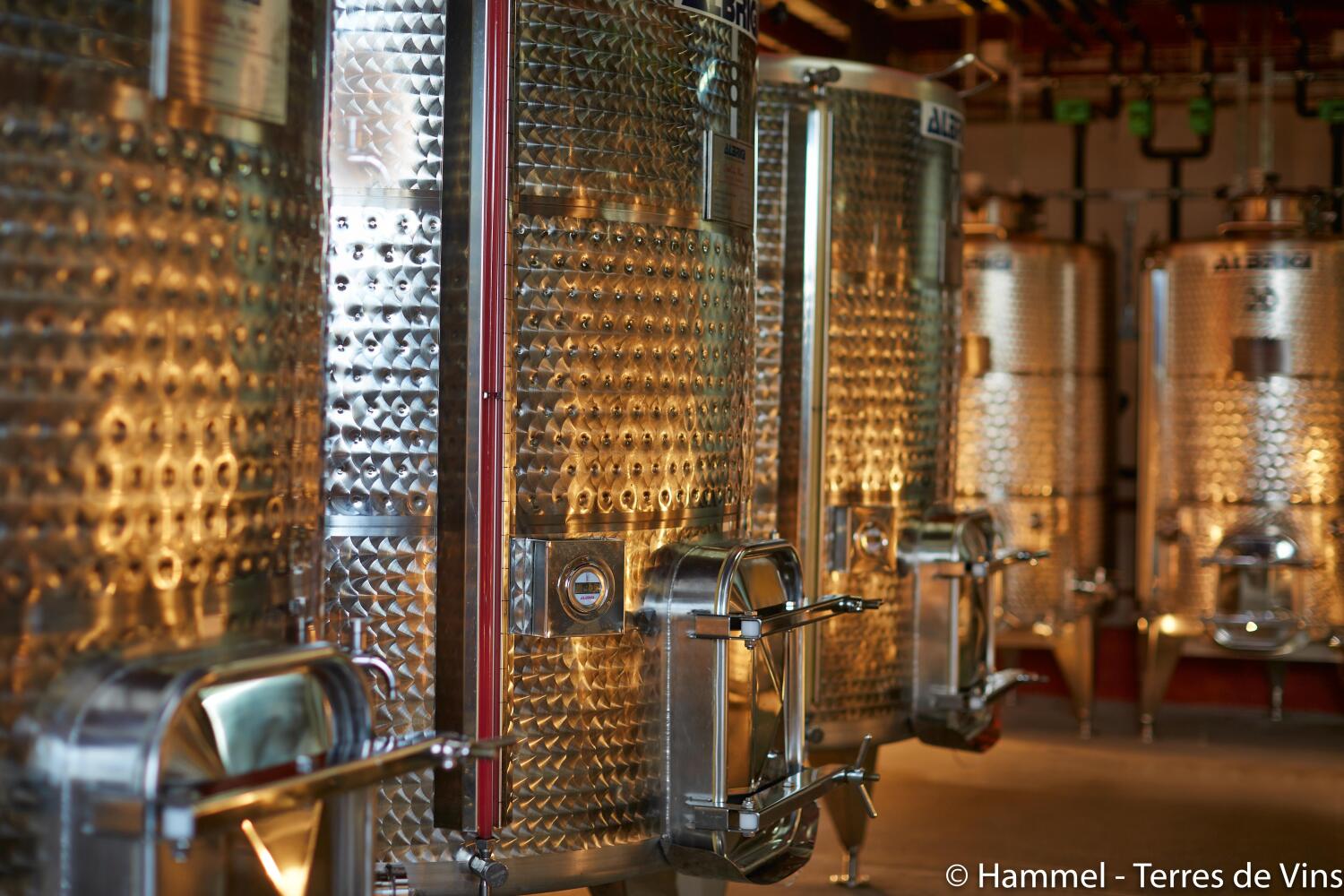 Hammel – Terres de Vins