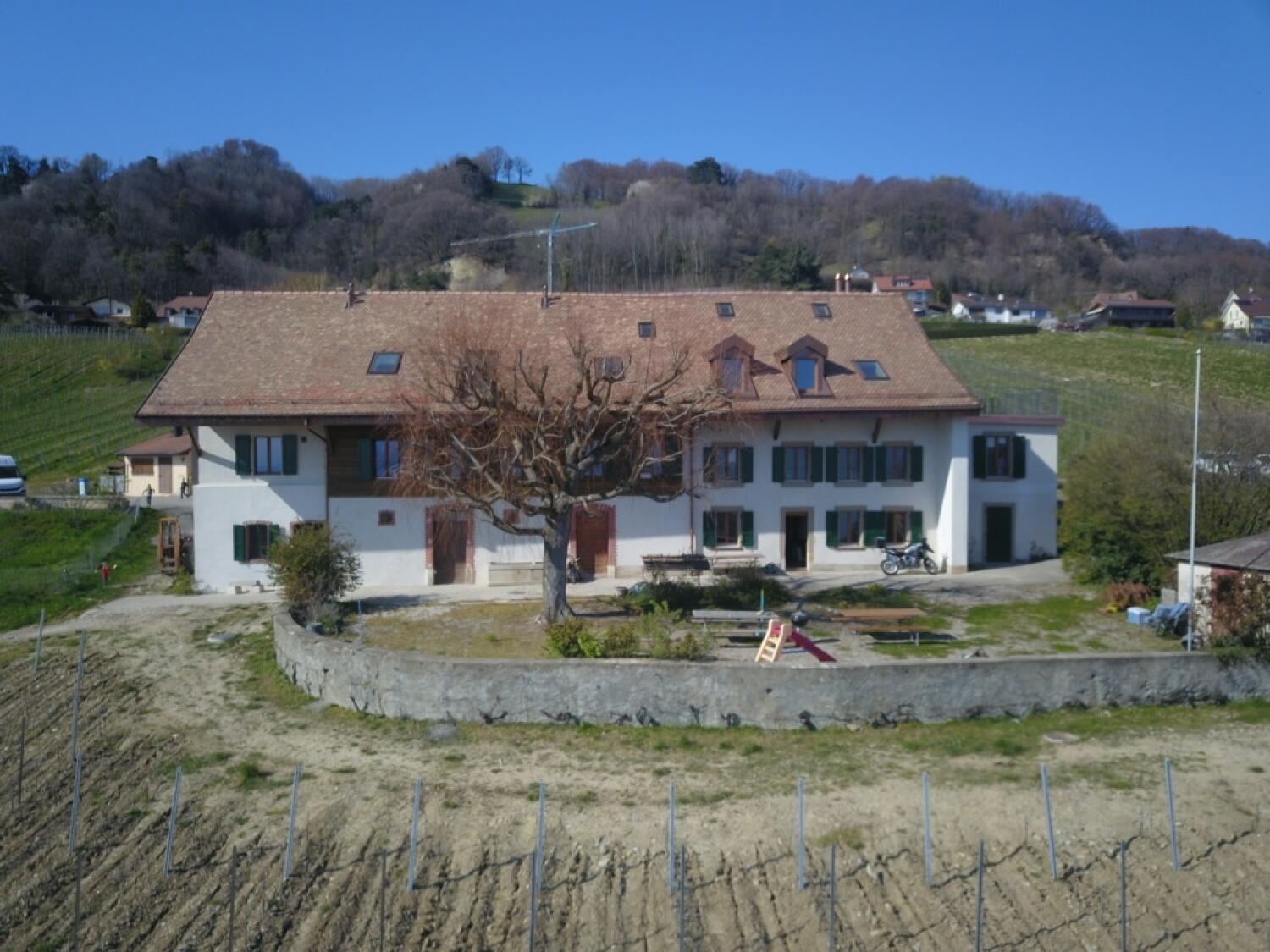 Domaine de Bellevue