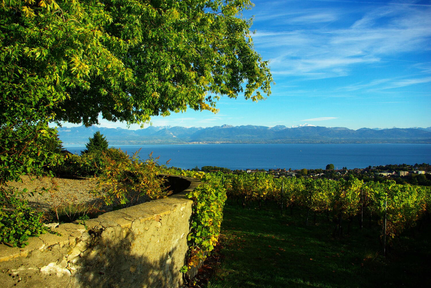 Domaine de Bellevue – Découverte de cave