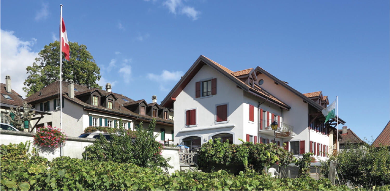 Domaine de la Montardière – Découverte de cave