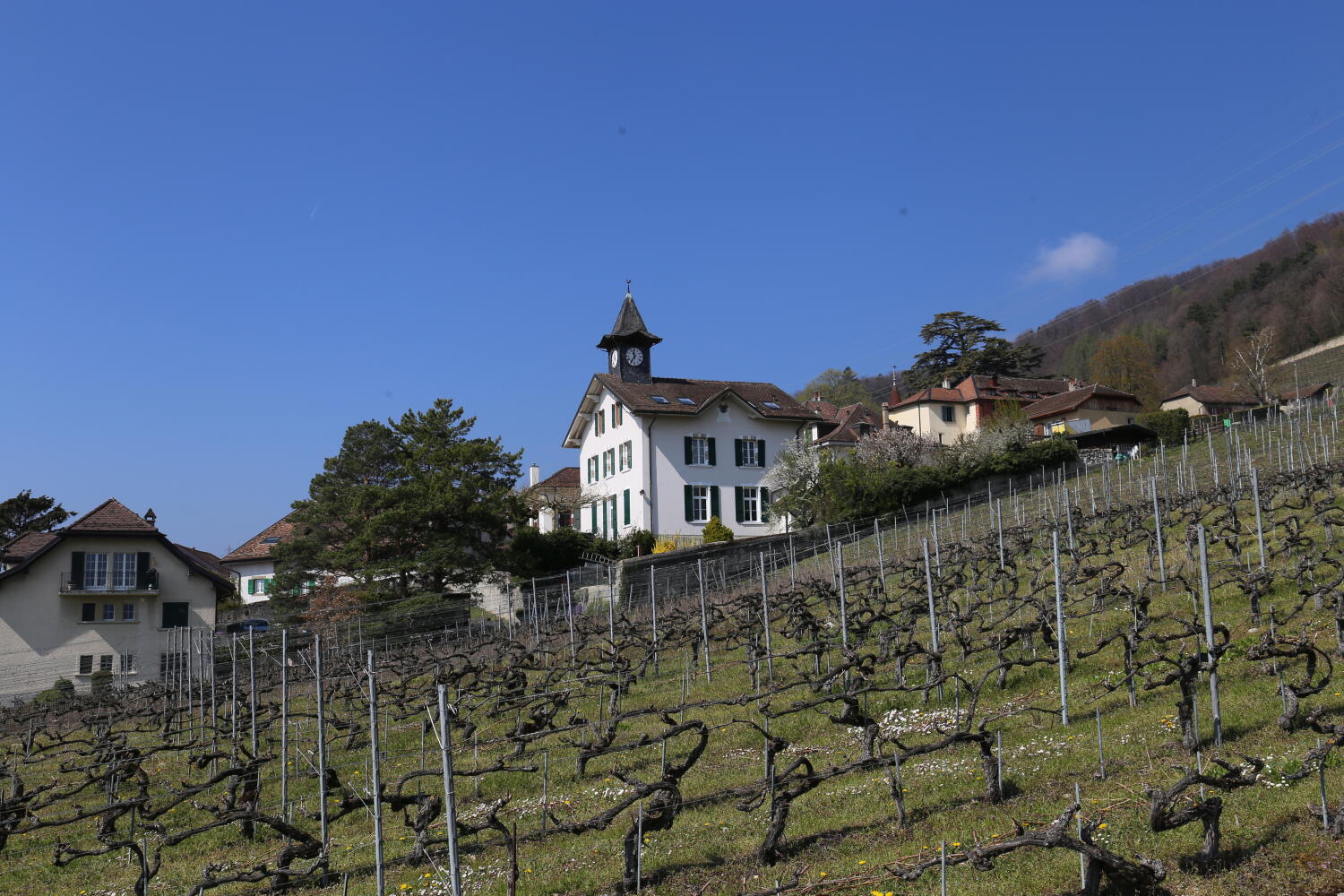 Village de Vinzel