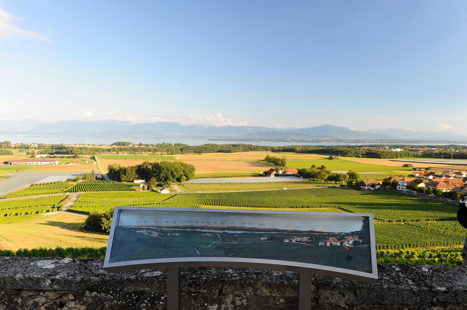 Panorama sur le lac Léman