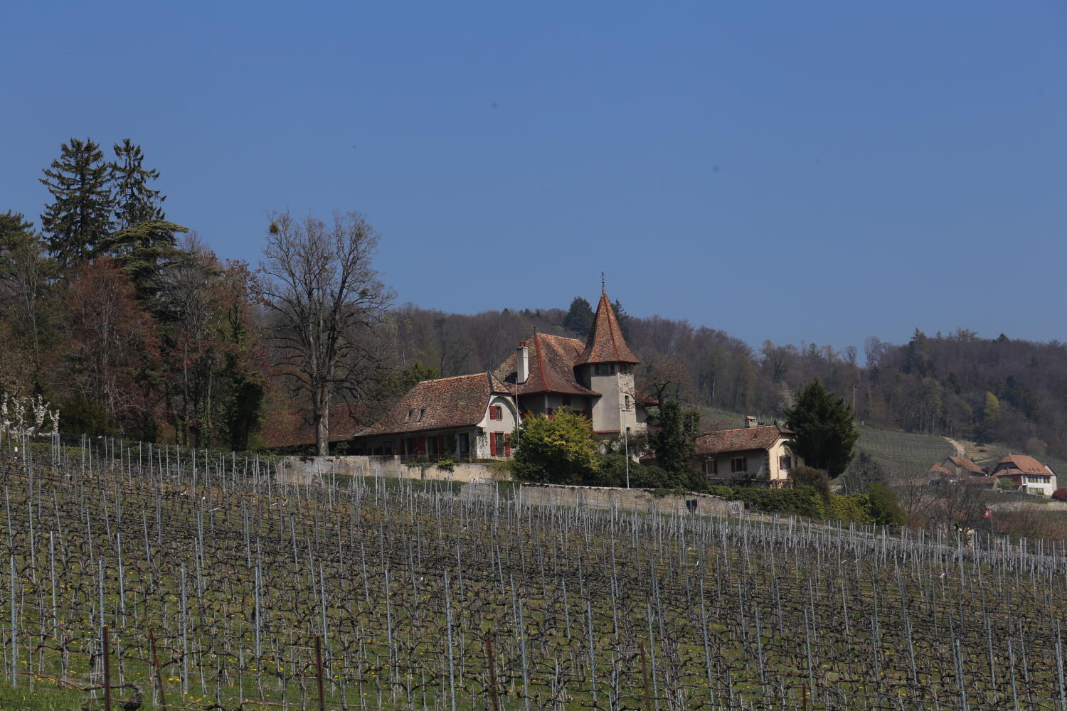 Château de Cottens