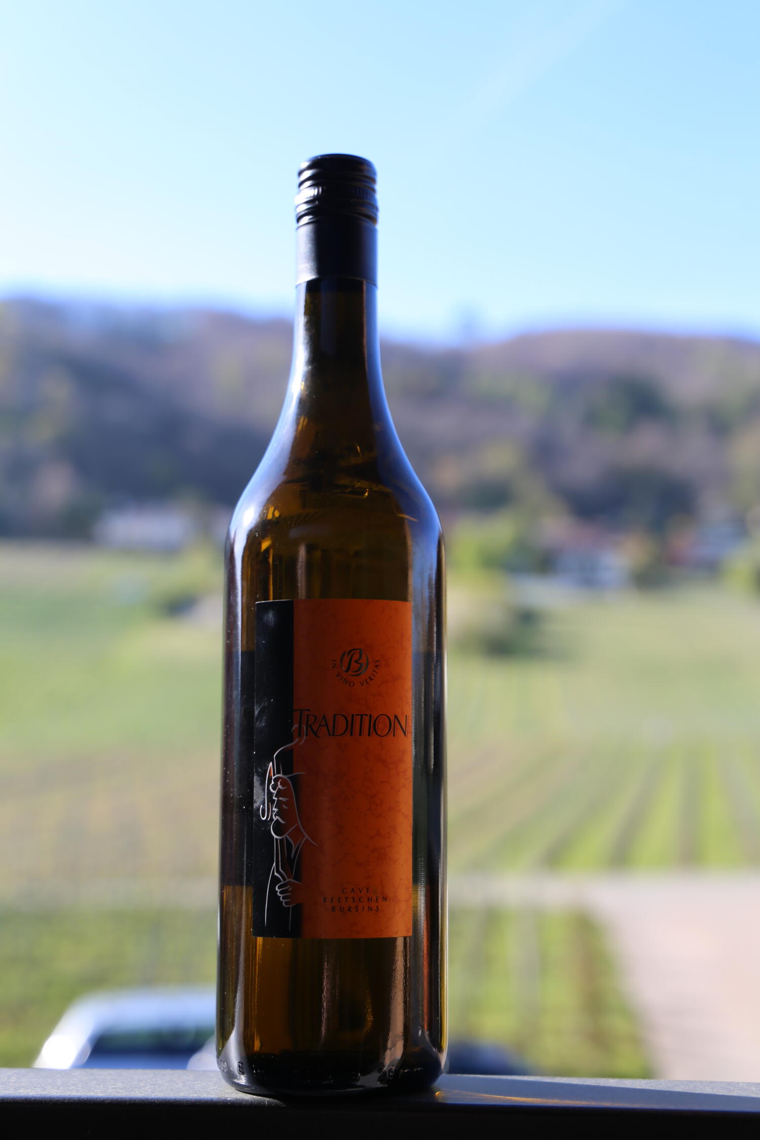 Vins et Traditions de la région de Vinzel