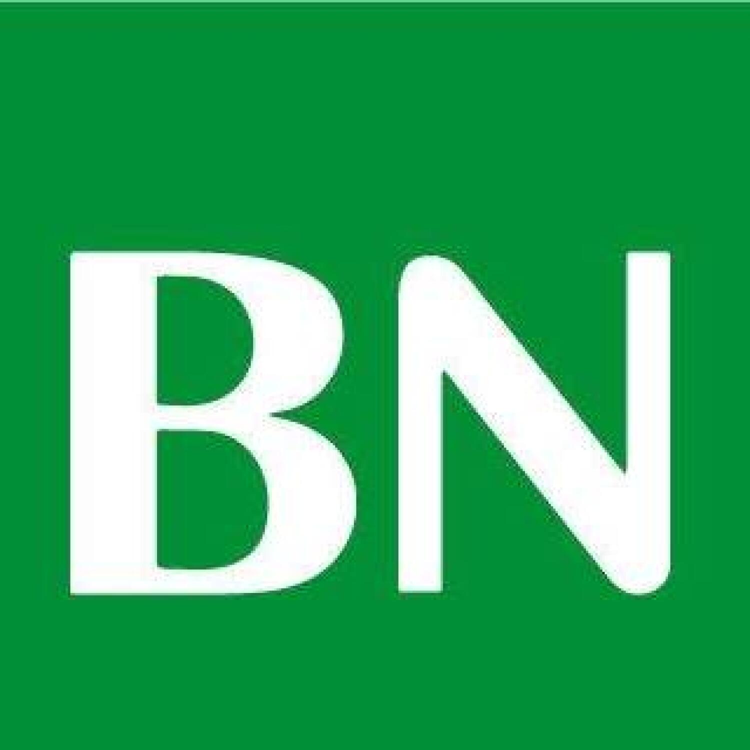 Bernard Nicod Nyon SA