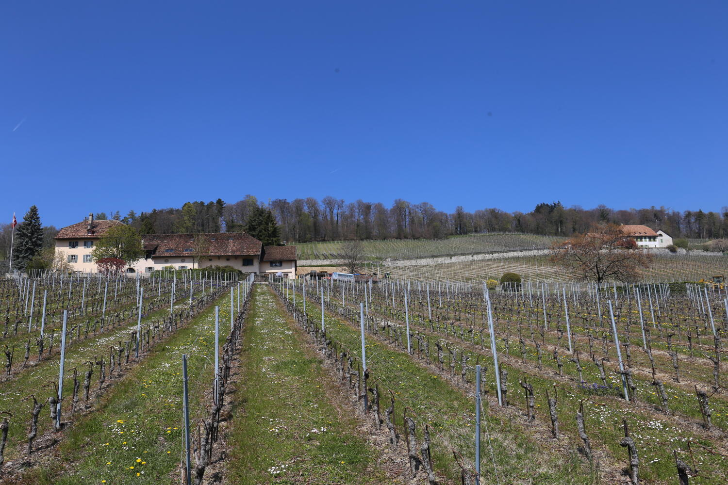 Vignerons de Luins et Vinzel