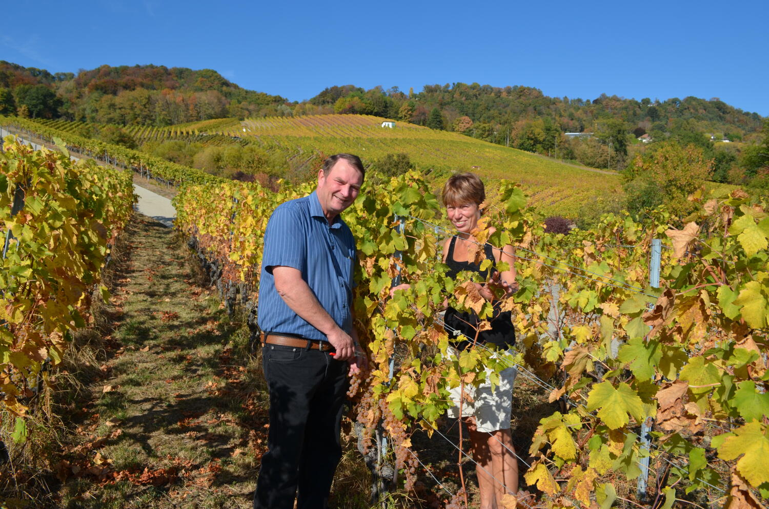 Domaine de Haute-Cour – Mont-sur-Rolle