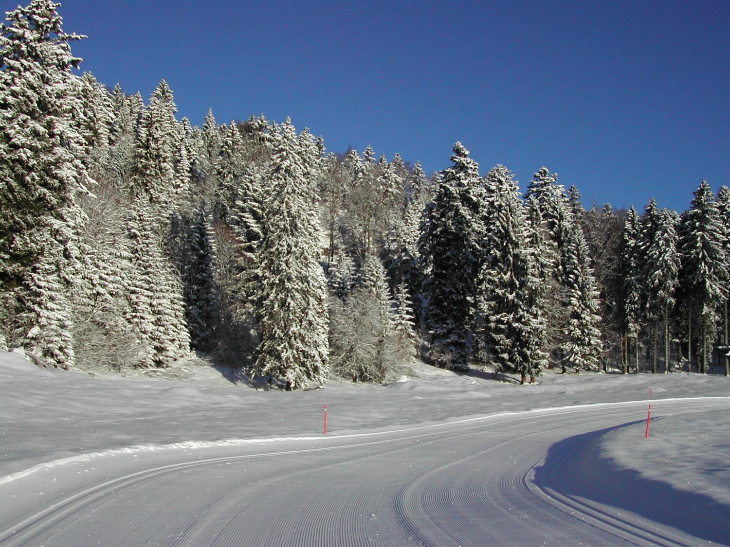 Téléskis de St-George