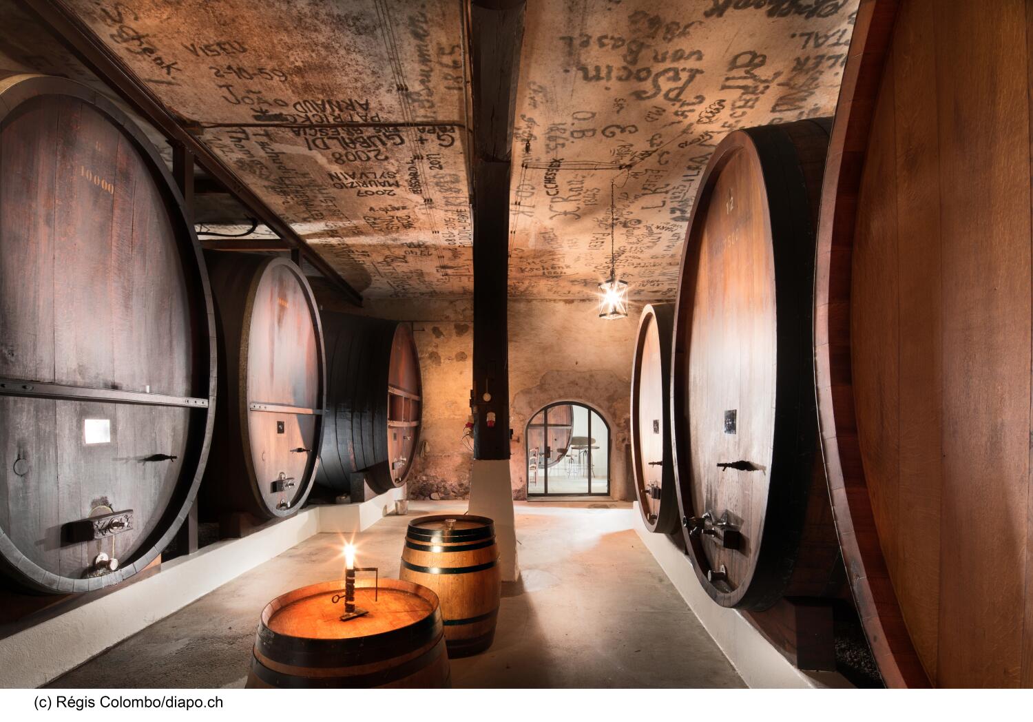 Activités oenotouristiques dans la région – Clos Domaines &amp; Châteaux