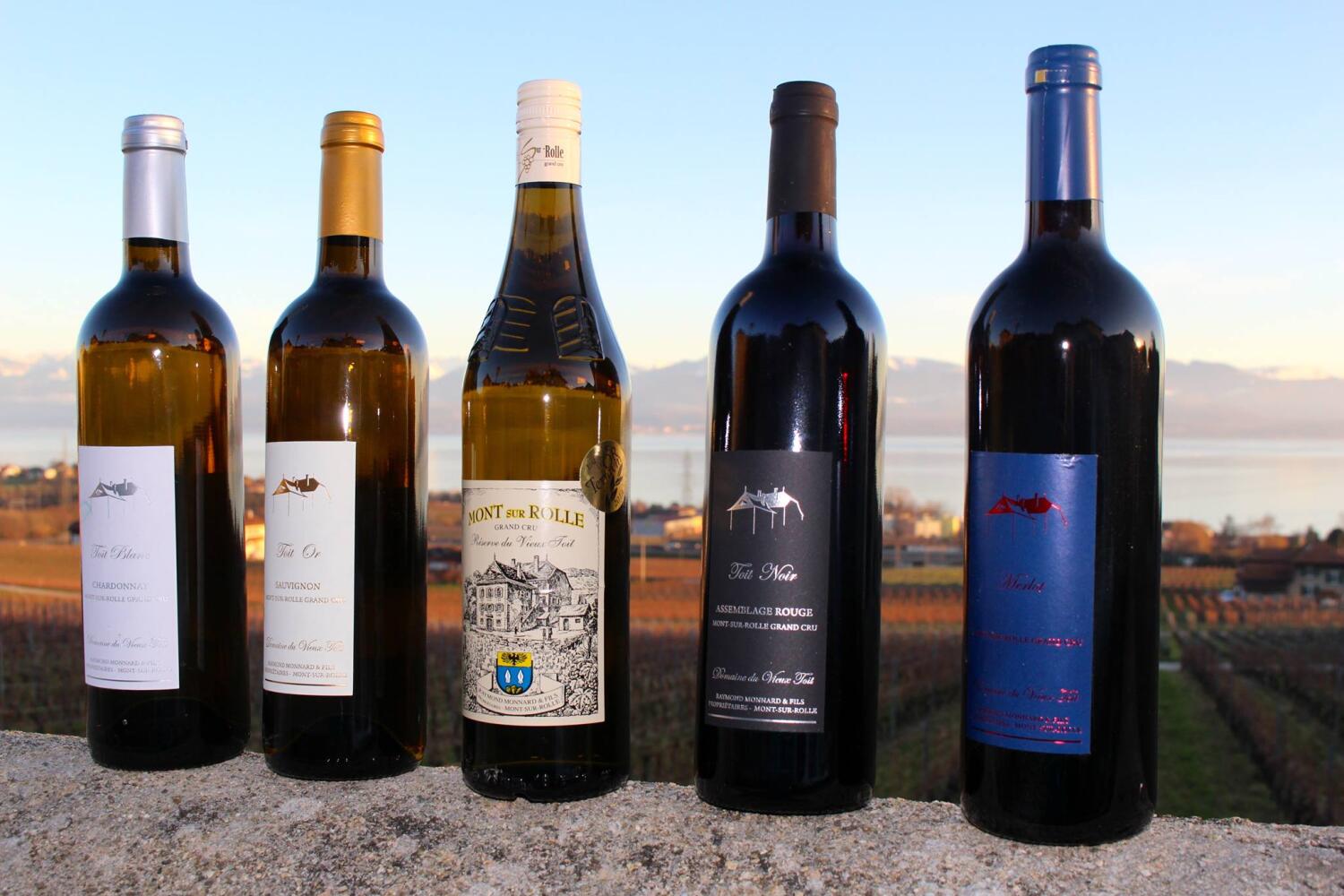 Domaine du Vieux Toit – Mont-sur-Rolle