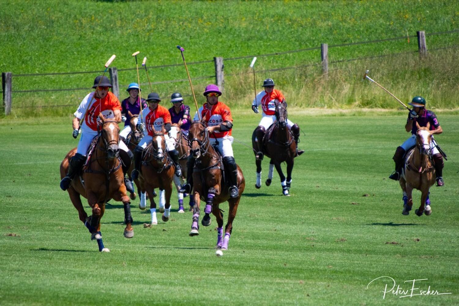 Domaine de Veytay – Polo Club