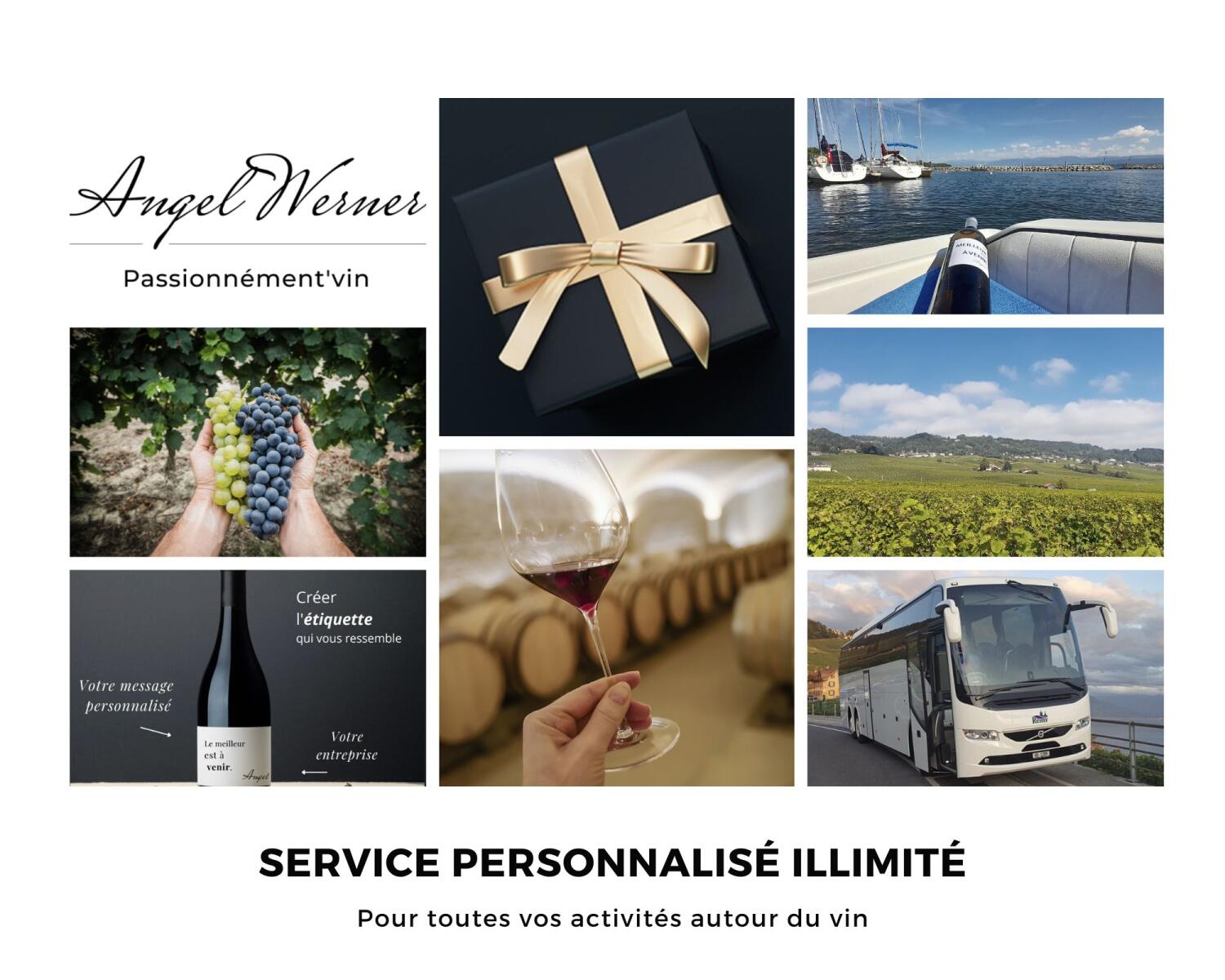 Passionnément’vin: Séminaire dans vignes &amp; Team-Building œnologique