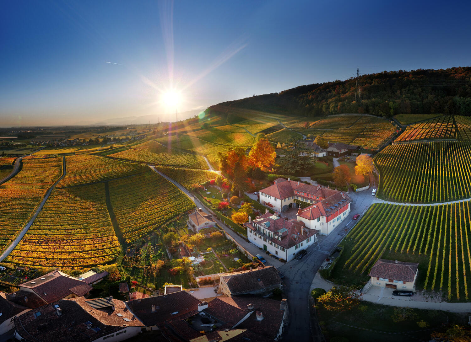 Chateau de Vinzel