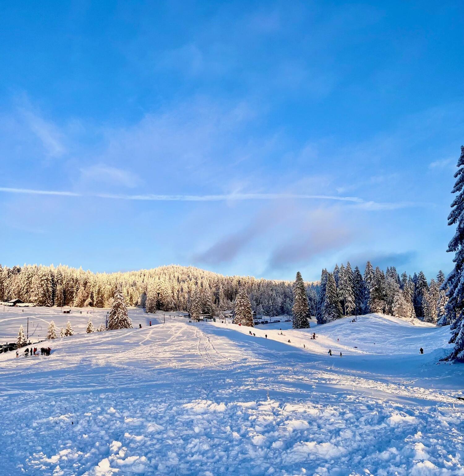 Les activités de la semaine à St-Cergue