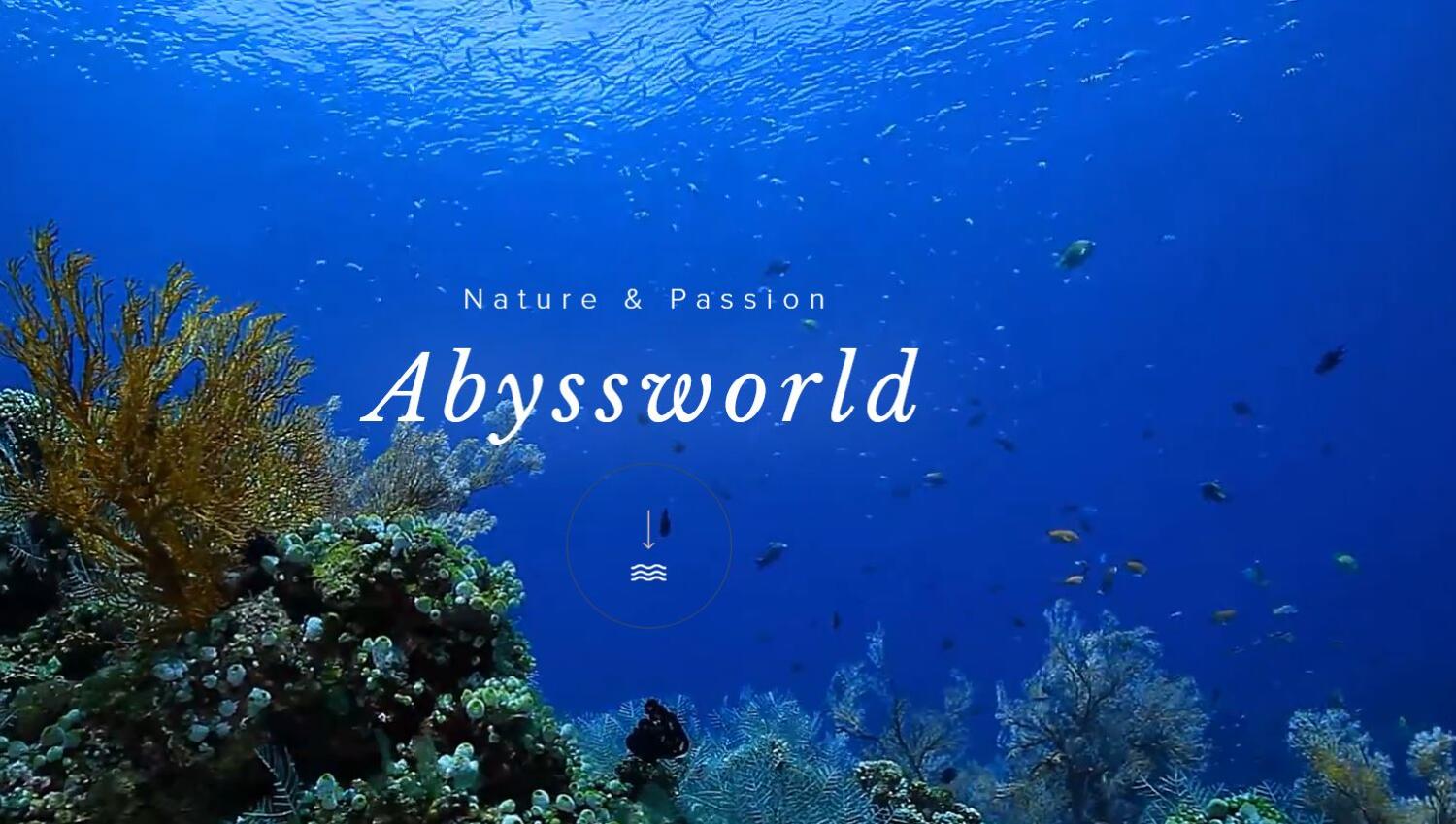 Abyssworld Agence de voyage et Galerie