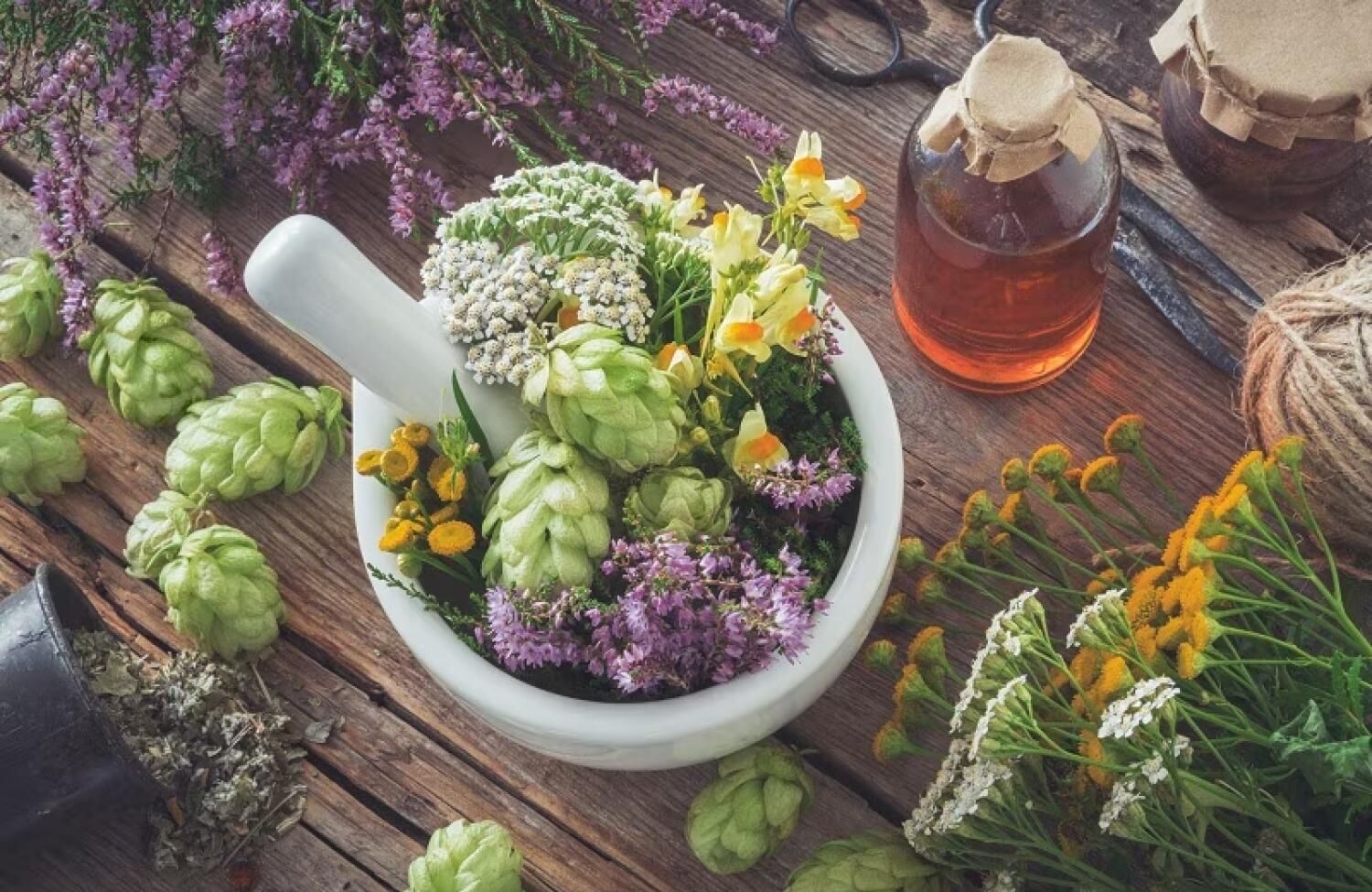 Irina CORNAGLIA | Nutritionniste Phytothérapeute
