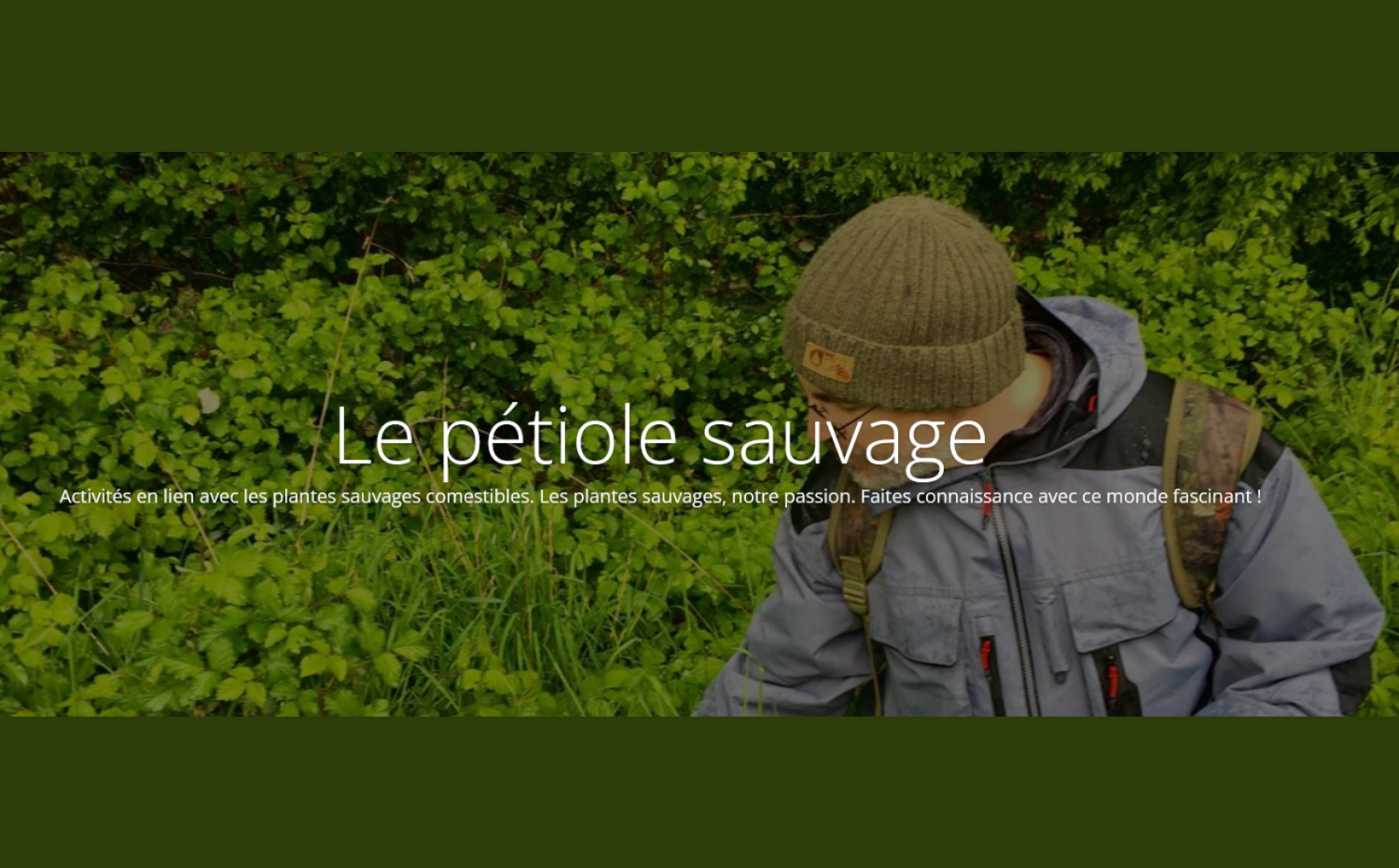 Le pétiole sauvage – plantes sauvages comestibles